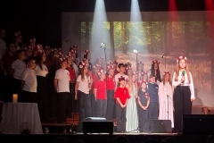 Polska - nasza wolność, nasza duma - uroczystość środowiskowa w Kinie Świt