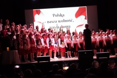 Polska - nasza wolność, nasza duma - uroczystość środowiskowa w Kinie Świt