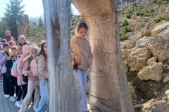 Wycieczka do Bałtowa – 19 marca 2026r.