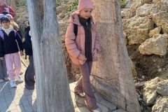 Wycieczka do Bałtowa – 19 marca 2026r.