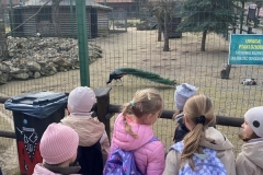 Wycieczka do Bałtowa – 19 marca 2026r.