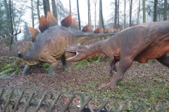 Wycieczka do Bałtowa