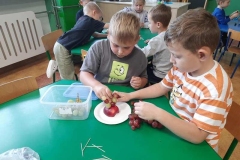 Światowy Dzień Jabłka