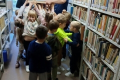 Sówki w Bibliotece Pedagogicznej